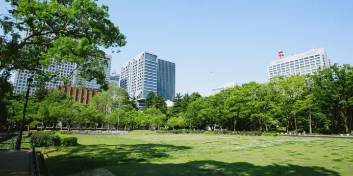 How Do Urban Planning Decisions Shape Everyday Life?