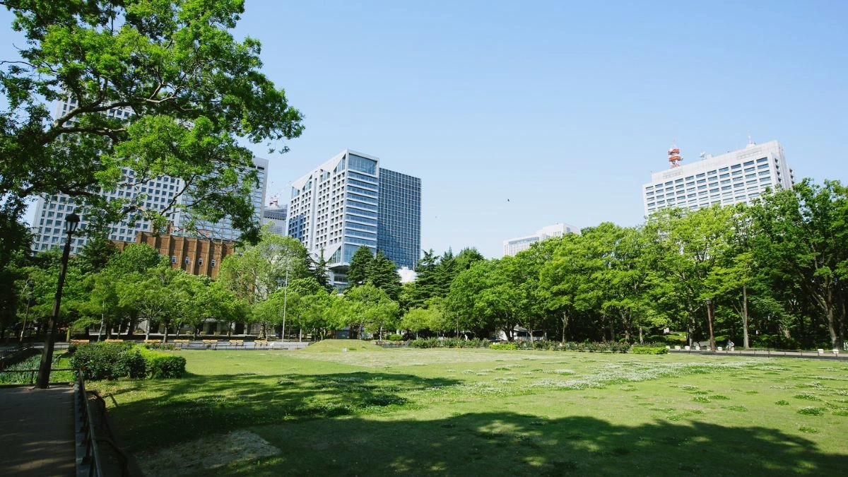 How Do Urban Planning Decisions Shape Everyday Life?